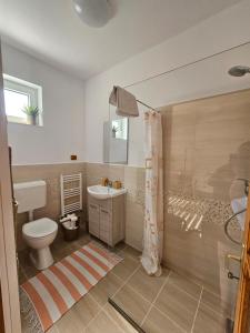 a bathroom with a toilet and a sink and a shower at Casa Anette in Sovata