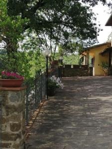 Taman di luar Appartamento Bellosguardo