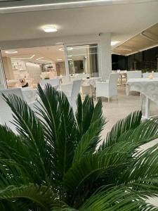 Photo de la galerie de l'établissement Hotel San Domingo, à Bellaria-Igea Marina