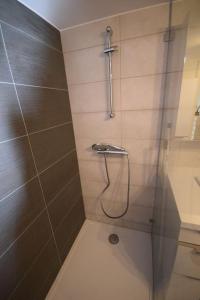 a bathroom with a shower with a glass door at Appartement Sélestat in Sélestat +13 photos