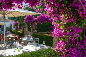 Κήπος έξω από το Quinta Do Paraiso - AL