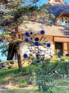 Zahrada ubytování Haus Windfee Fewo 1