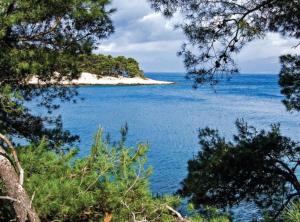 an island in the middle of a large body of water at Holiday Home Aurora in Splitska