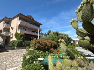 a garden in front of a building with a cactus at Vila Jadranka Apartments in Herceg-Novi