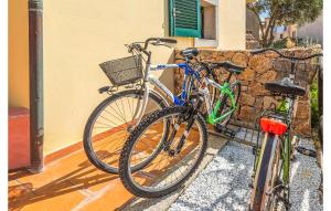 Cykling ved Bilo 4 eller i nærheden