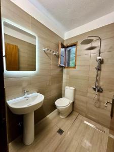 a bathroom with a sink and a toilet and a shower at Elgi Cottage in Chrysi Ammoudia