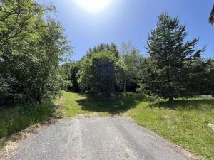 a dirt road with trees on the sides of it at gemütliche kleine Ferienwohnung in Altenberg in Kurort Altenberg +9 photos
