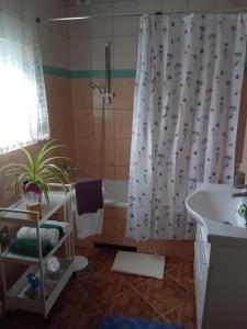 a bathroom with a shower curtain and a sink and a tub at Apartman NADA in Krapina