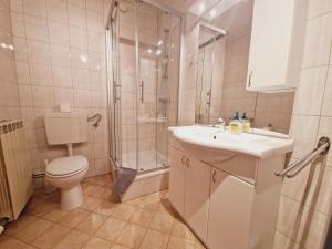 a bathroom with a toilet and a shower and a sink at Ferienwohnung Andritsch in Sankt Georgen im Gailtal +39 photos