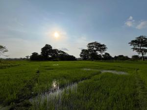Paesaggio naturale nelle vicinanze dell'affittacamere