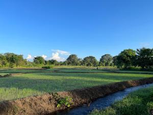 Paesaggio naturale nelle vicinanze dell'affittacamere