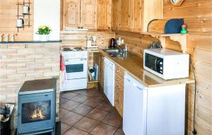a kitchen with a stove microwave and a fireplace at Kyrping Ferieplass A in Kyrping