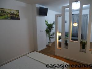 TV a/nebo společenská místnost v ubytování Casas jerezanas Loft Olivier