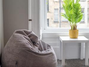 a plant in a pot on a table next to a window at Pass the Keys West End Cosy Pop of Colour in Glasgow