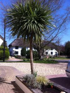 Pass the Keys Walk to West Wittering Beach外面的花园