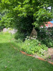 Afbeelding uit fotogalerij van St'ngt in Borrby