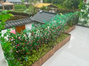 Zahrada ubytování 楊家小院
