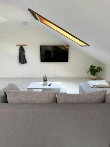 TV a/nebo společenská místnost v ubytování Appartement Liebhart