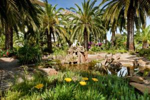 a garden with palm trees and a pond with flowers at Hôtel Campo Dell'oro in Ajaccio