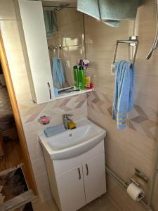 Vannituba majutusasutuses Cottage Wrong turn