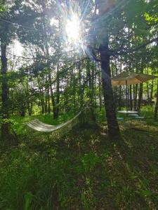 Phong cảnh thiên nhiên gần khu cắm trại