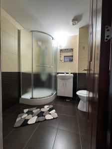 Billede fra billedgalleriet på Rim1 i Piteşti