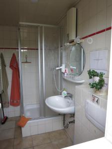a bathroom with a shower and a sink and a mirror at Bungalow am Osterteich in Gernrode - Harz