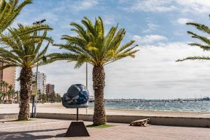 una palmera junto a una playa con una silla en Villa La Paz, en San Javier