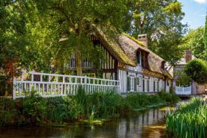 a house with a thatched roof and a river at L'HIBISCUS de l'Audière in Malaunay