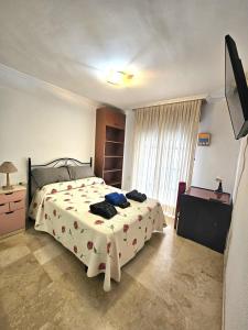 a bedroom with a bed and a television in it at ALMERIA CENTRO y CONFORT in Almería