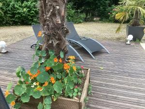 Gallery image of Le Lavoir in Châteauroux