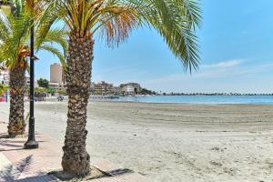 dos palmeras en una playa de arena cerca del agua en Villa La Paz, en San Javier