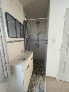 une petite salle de bain avec un lavabo et une douche dans l'établissement L'aventurine NO, à Barbâtre 21 autres photos