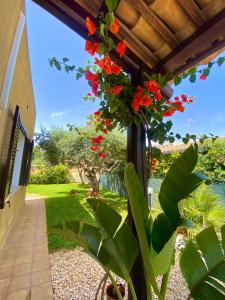 un portico con fiori rossi appesi al tetto di Villa Barbera a Marsala