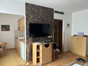 Kuchyňa alebo kuchynka v ubytovaní Tip Top Wellness Apartman Zalakaros