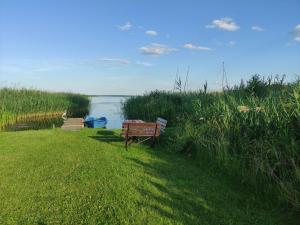 a park bench sitting in the grass near the water at Domek i pokoje Wilkasy in Wilkasy