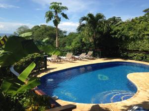 a swimming pool with chairs and a table and trees at Villa Mango B&B in Nosara