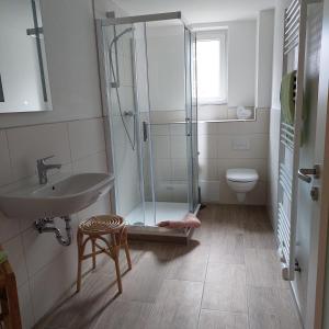 a bathroom with a shower and a sink and a toilet at Fewo Jahn in Bad Schandau +1 photo