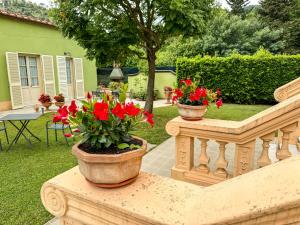 Zahrada ubytování Marta Guest House