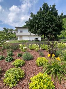 Zahrada ubytování el Zhìgol B&B