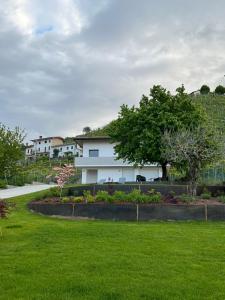 Zahrada ubytování el Zhìgol B&B + 29 fotografií
