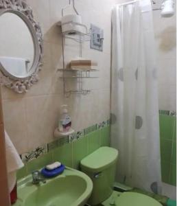 ein Badezimmer mit einer grünen Toilette und einem Spiegel in der Unterkunft D ROSSY House in Huaraz