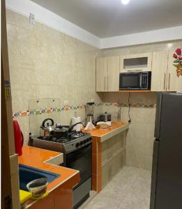 eine kleine Küche mit Herd und Mikrowelle in der Unterkunft D ROSSY House in Huaraz