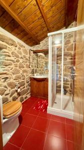SacosにあるCasa Rural en Pontevedraの石造りのバスルーム(シャワー、トイレ付)