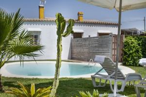 un cactus et une chaise à côté d'une piscine dans l'établissement Casa el mirlo, à Conil de la Frontera