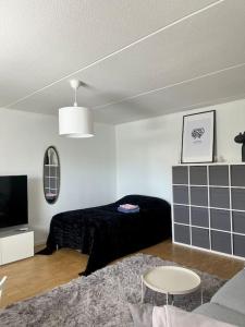 Una sala de estar con un sofá y un televisor. en Studio in Paimio, en Paimio