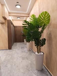 Φωτογραφία από το άλμπουμ του Apartman Rentals Lux KG 1 σε Kragujevac
