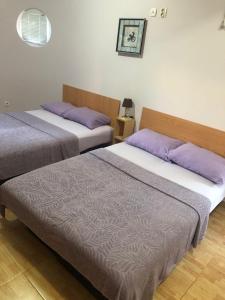 two beds sitting next to each other in a room at Apartmani Milanovic Susanj in Bar +12 photos