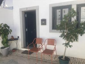 法鲁Love Tiny House的两把椅子和一株位于大楼前的植物