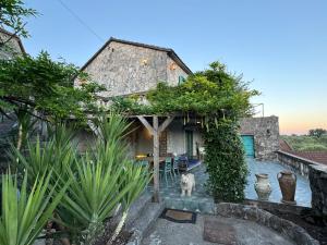 Jardin de l'établissement NikolaS Family cottage 25 autres photos